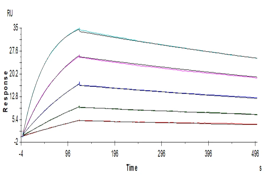 BTLA-HB001 SPR result