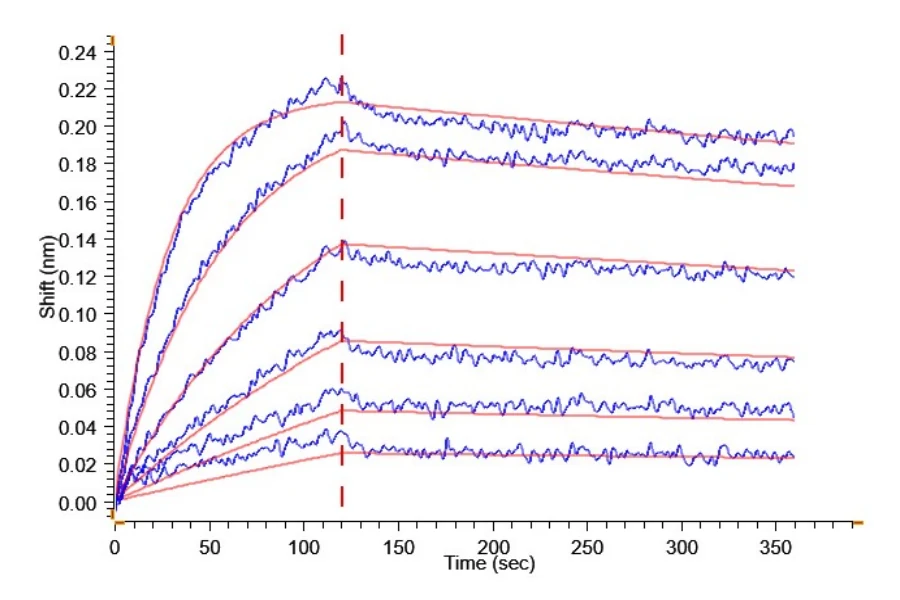BTLA-HP002 BLI-2 result