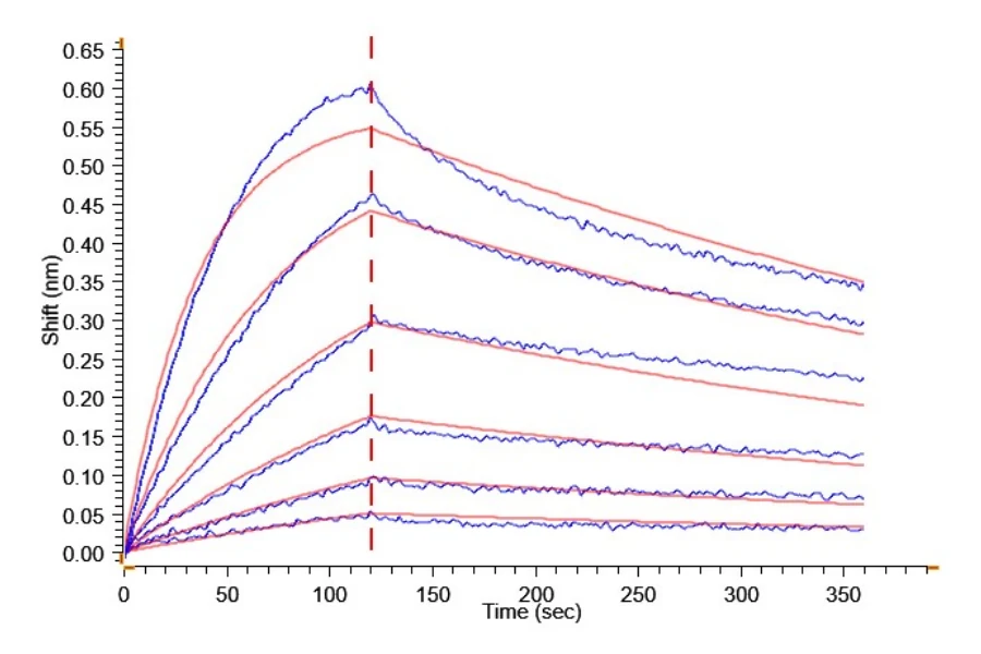 BTLA-HP002 BLI result