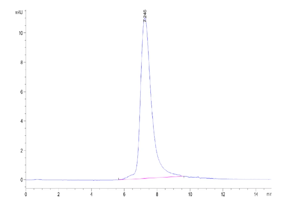 CCL24-CP001 SEC-HPLC result