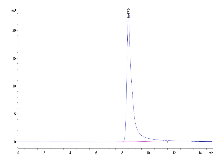 CCL24-HF001 SEC-HPLC result