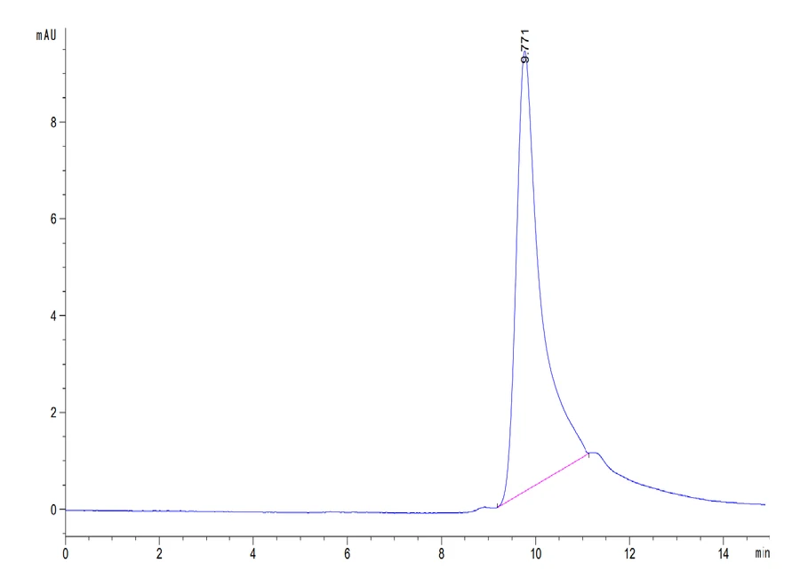 CCL24-HP001 SEC-HPLC result