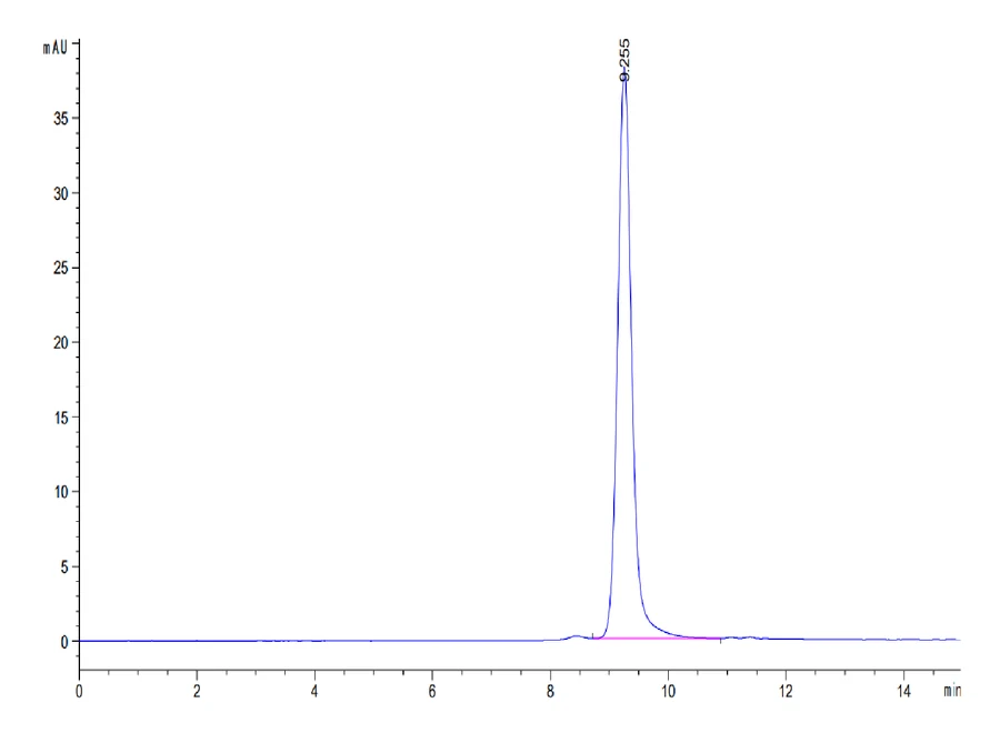 CCL24-MF001 SEC-HPLC result