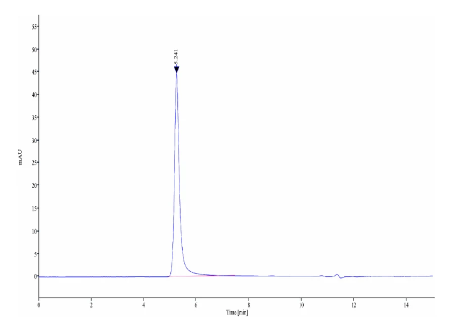 CCR8-HB001 SEC-HPLC result