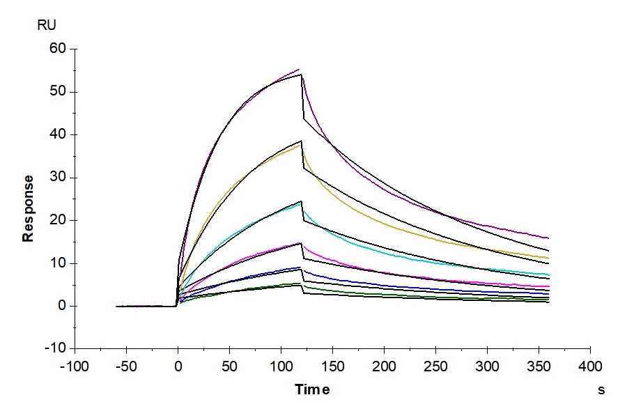 CCR9-HB001 SPR result