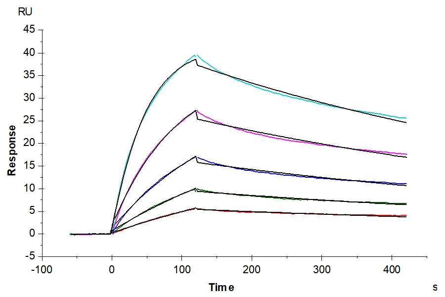CD120B-HF002 SPR result