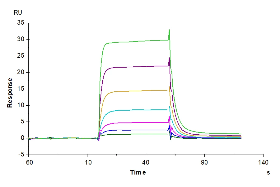 CD122-HF001 SPR result