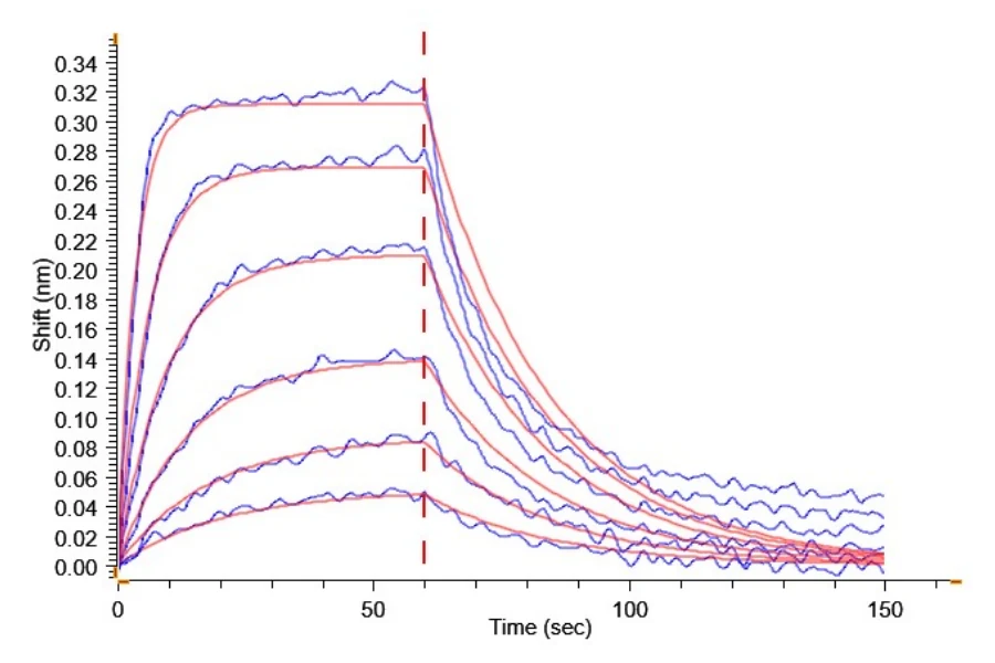 CD126-HF001 BLI result