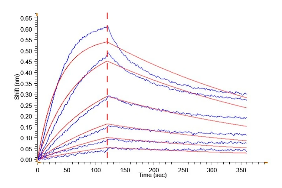 CD127-MF001 BLI result