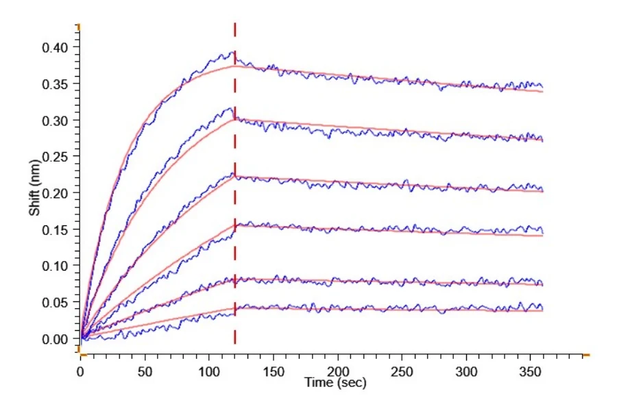 CD155-HB003 BLI result