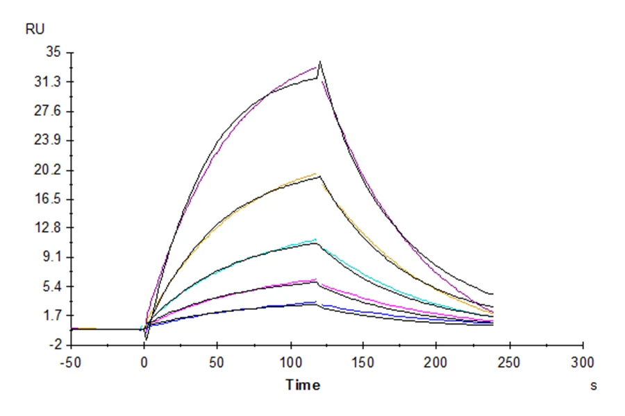 CD155-HP001 SPR result