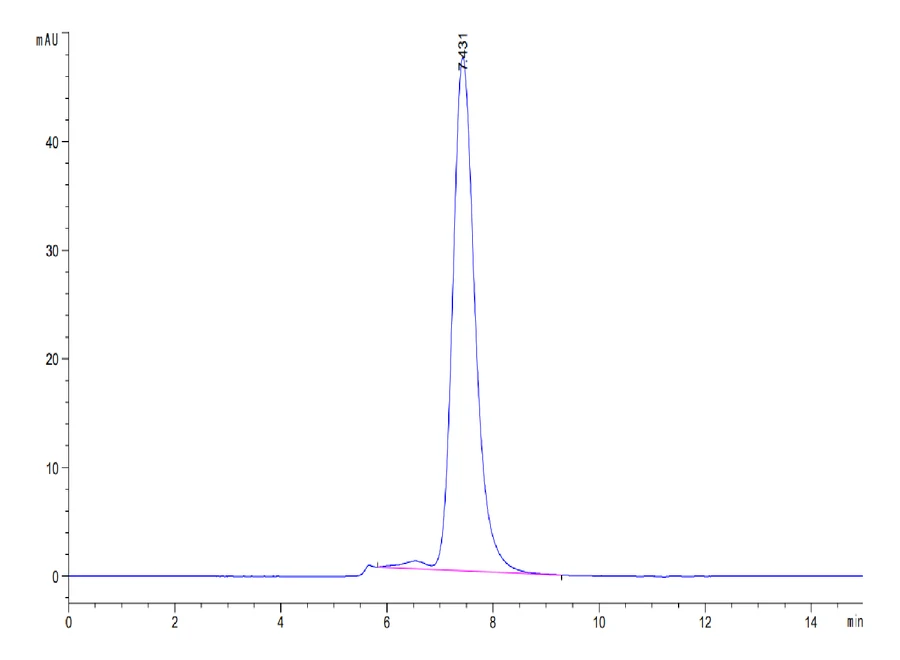 CD155-HP002 SEC-HPLC result