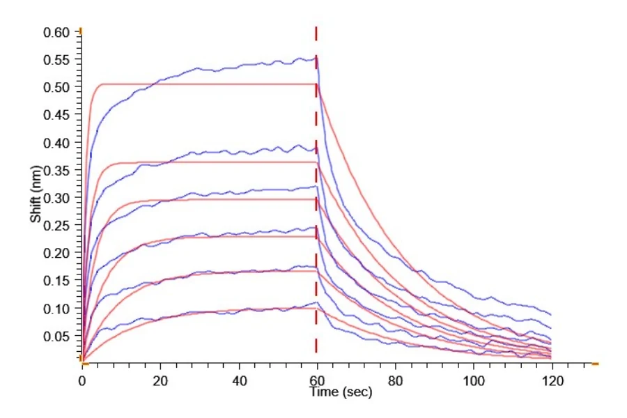 CD16-CB001 BLI result
