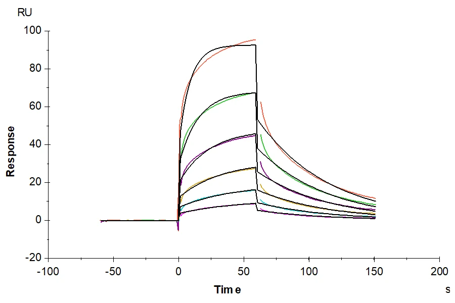 CD16-CB001 SPR result