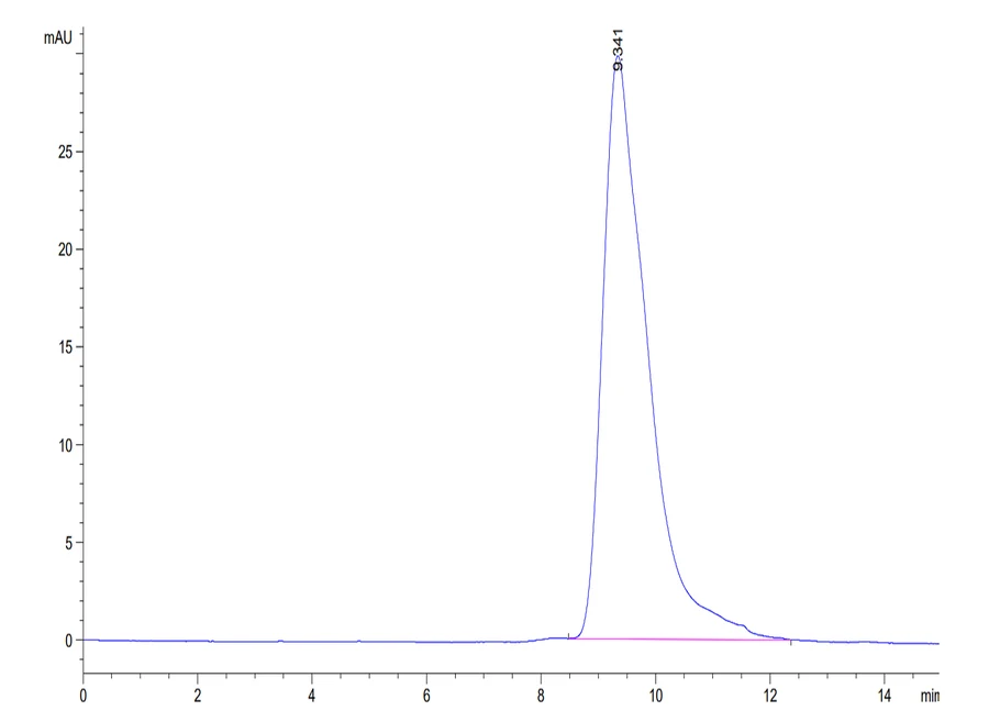 CD16-MP001 SEC-HPLC result