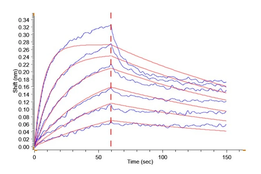 CD161-HB001 BLI result