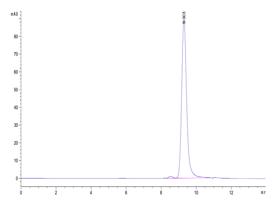 CD161-HB001 SEC-HPLC result