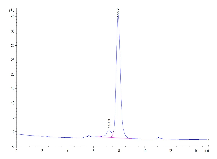 CD161-HF001 SEC-HPLC result