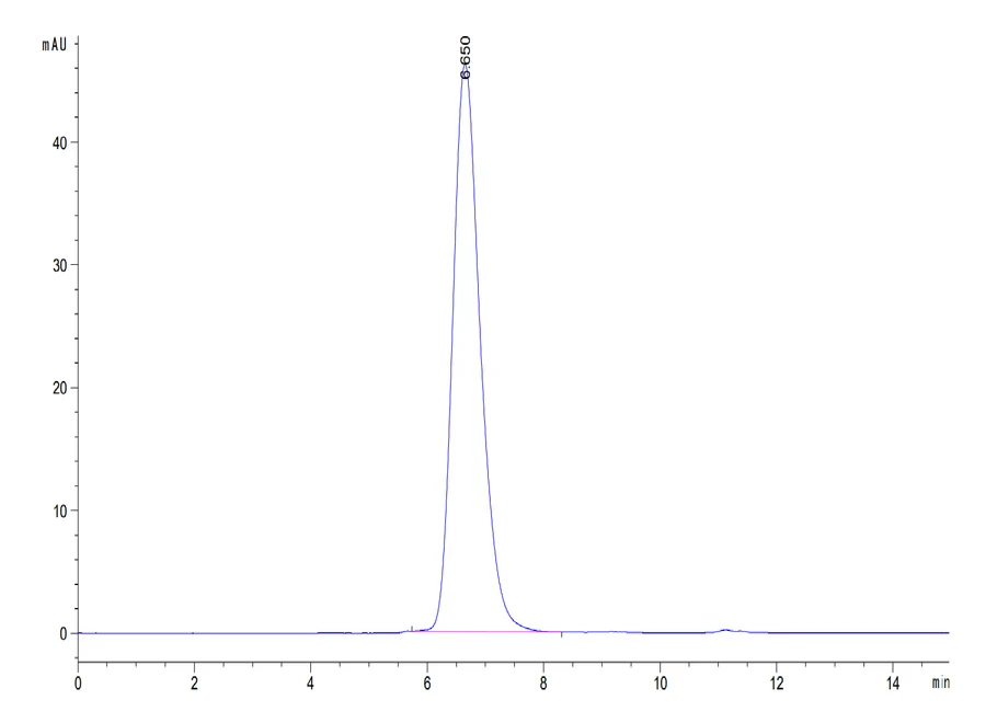 CD164-HF001 SEC-HPLC result