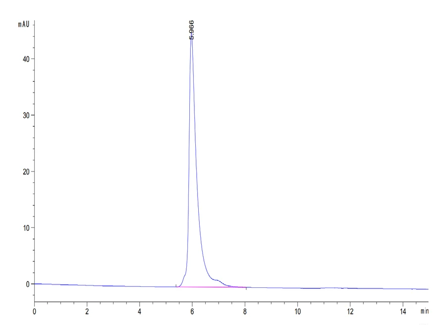 CD166-HF001 SEC-HPLC result