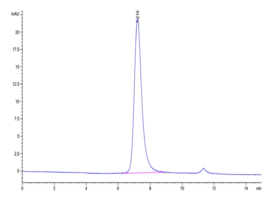 CD16A-HB001 SEC-HPLC result