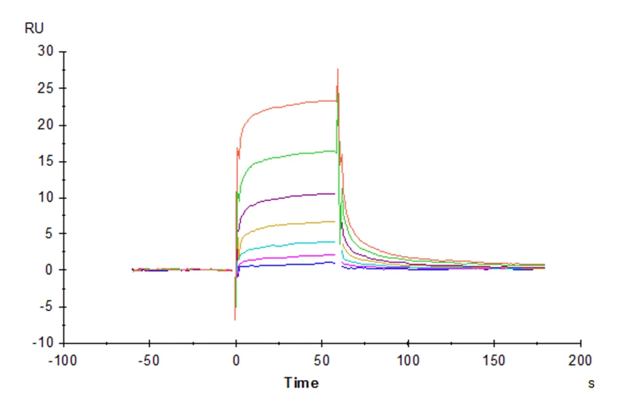 CD16A-HB001 SPR result