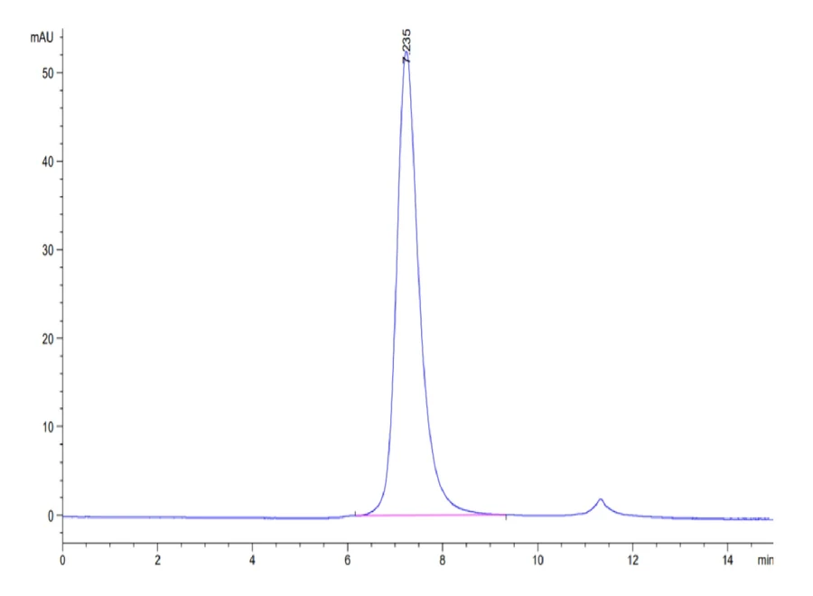 CD16A-HB002 SEC-HPLC result