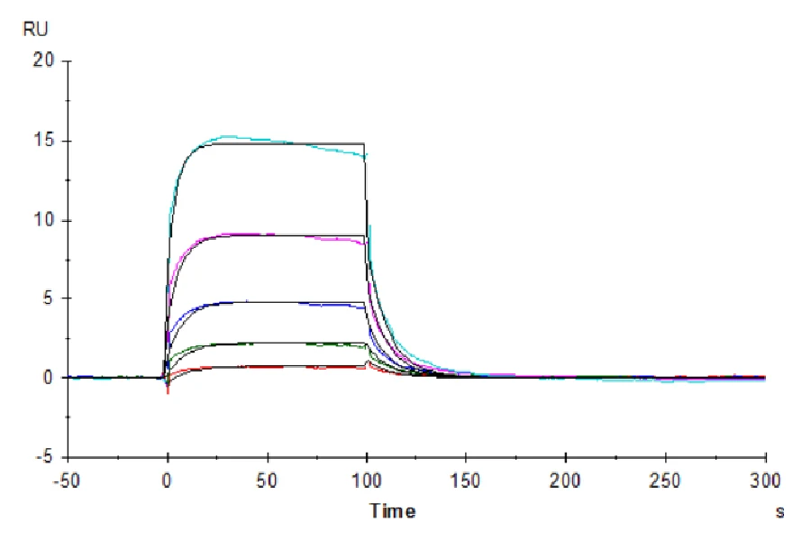 CD16A-HB002 SPR result