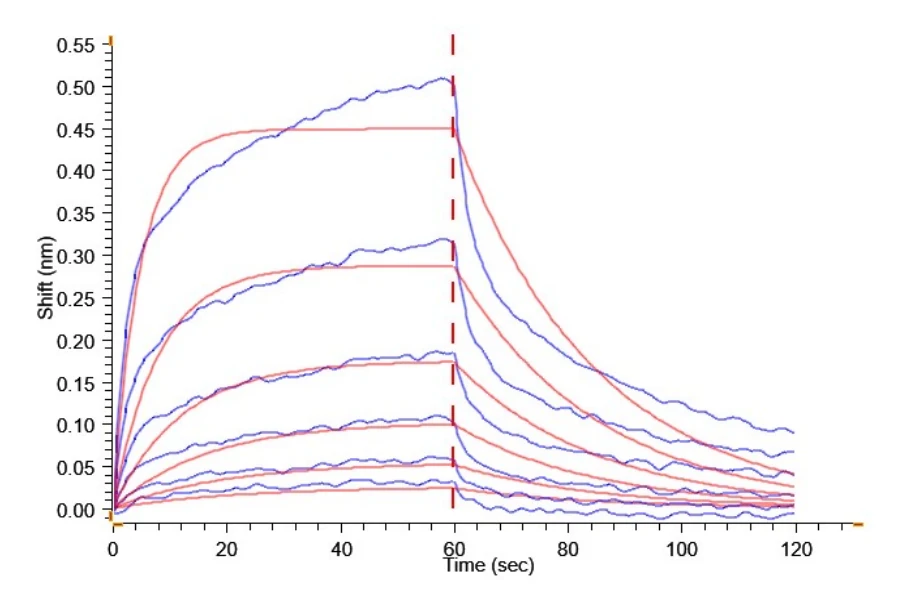 CD16A-HP001 BLI result