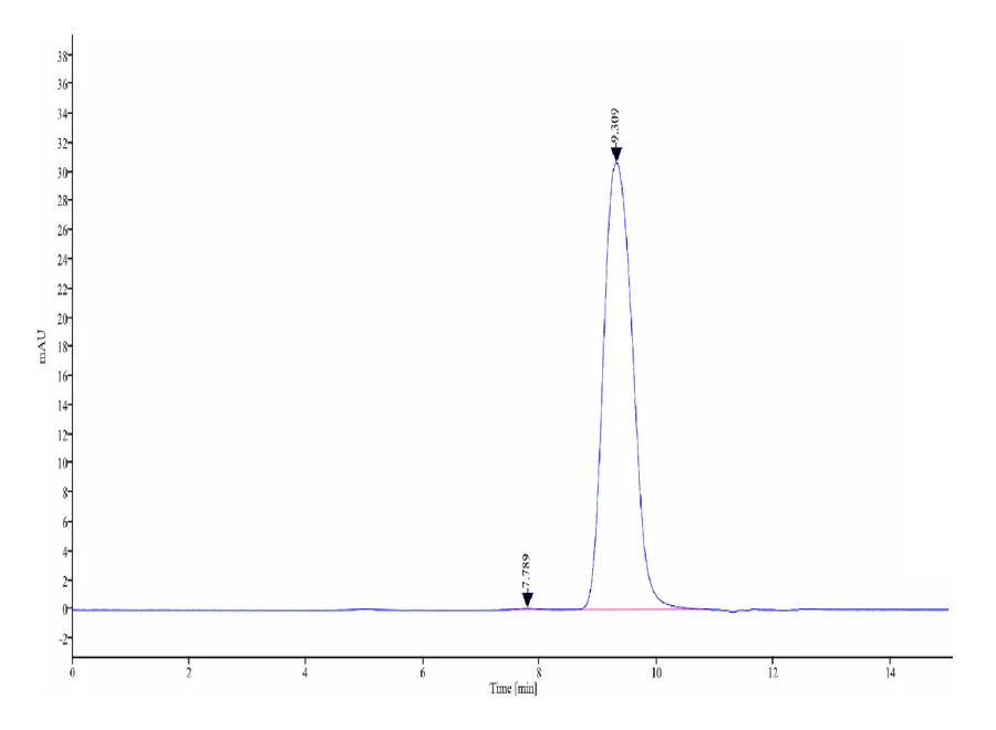 CD16A-HP001 SEC-HPLC result