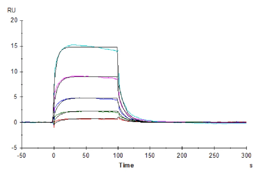 CD16A-HP003 SPR result