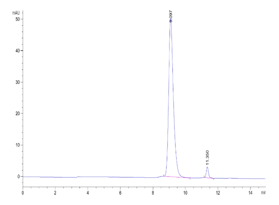 CD16B-HB001 SEC-HPLC result
