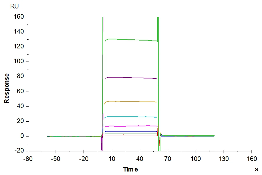 CD16B-HB001 SPR result