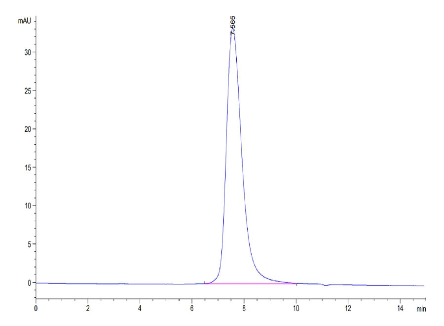 CD16B-HB002 SEC-HPLC result