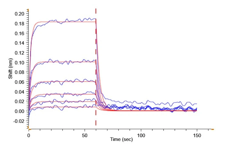 CD16B-HP001 BLI result