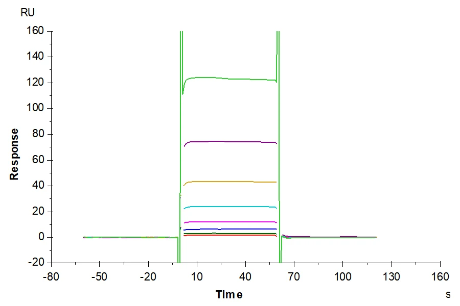 CD16B-HP001 SPR result