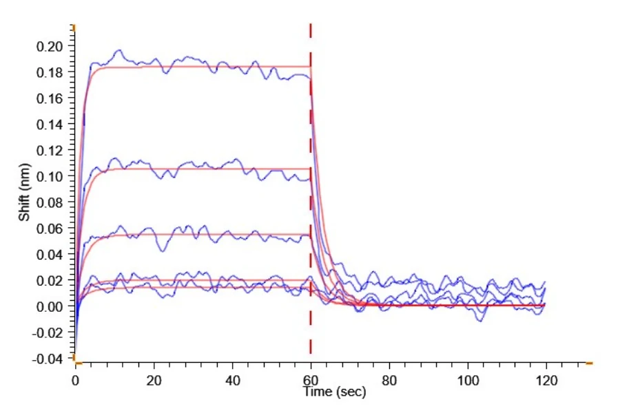 CD16B-HP002 BLI result