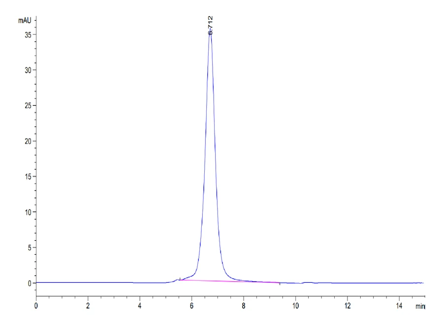 CD16B-HP002 SEC-HPLC result