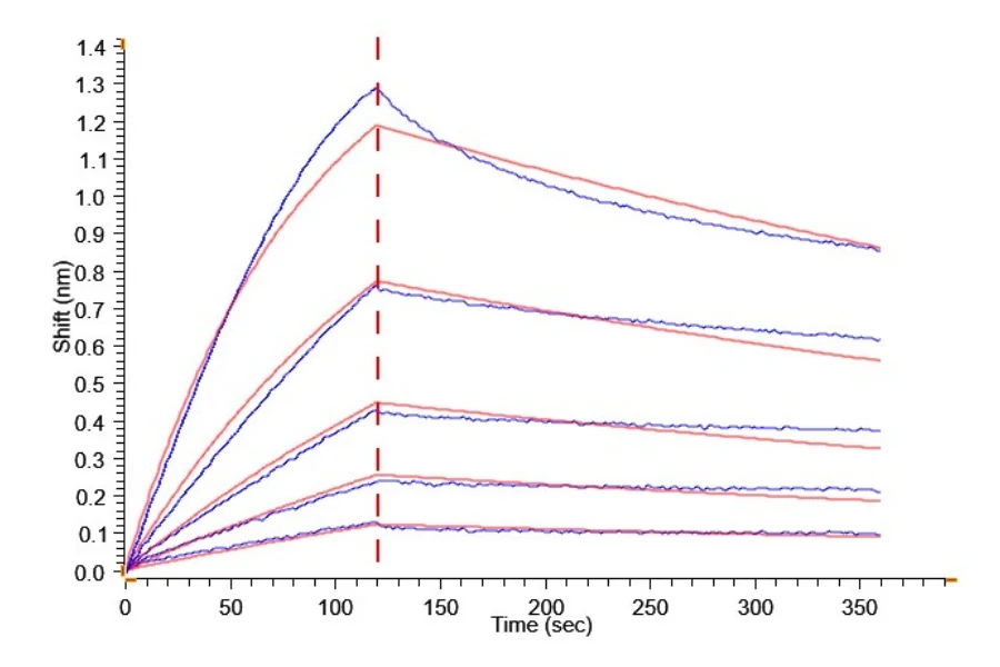 CD2-HF001 BLI result
