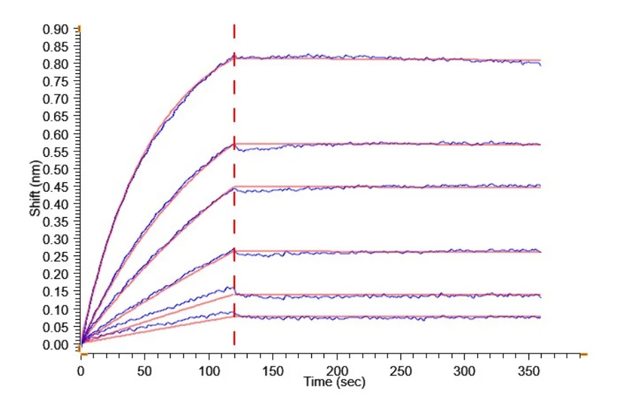 CD200-HB002 BLI result