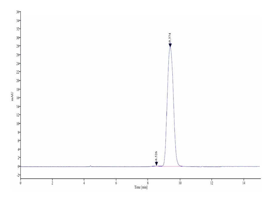 CD200-HB002 SEC-HPLC result