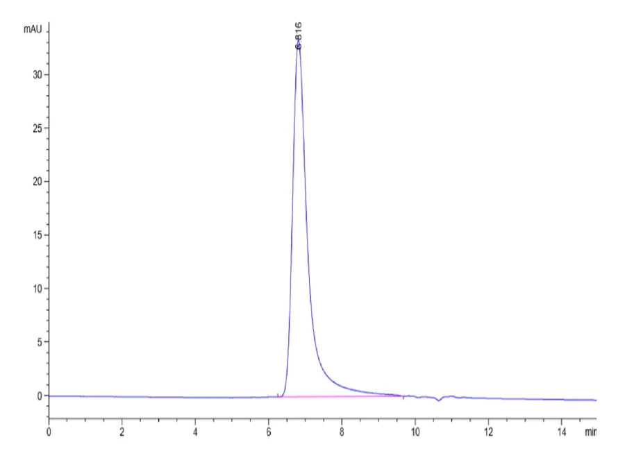 CD200-HB003 SEC-HPLC result