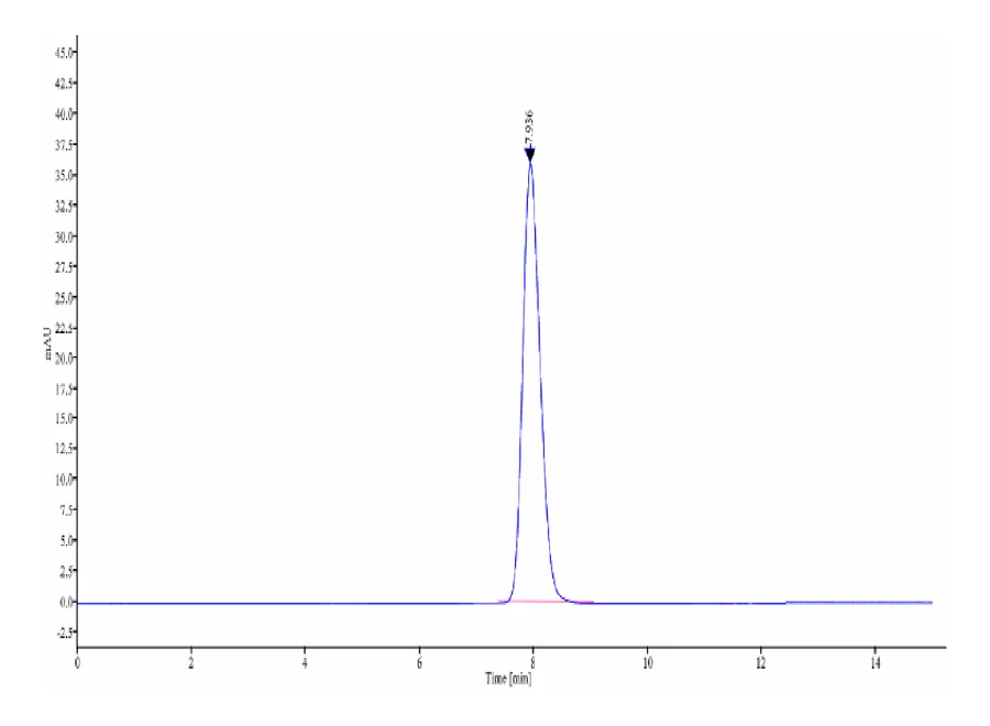 CD200-HF001 SEC-HPLC result