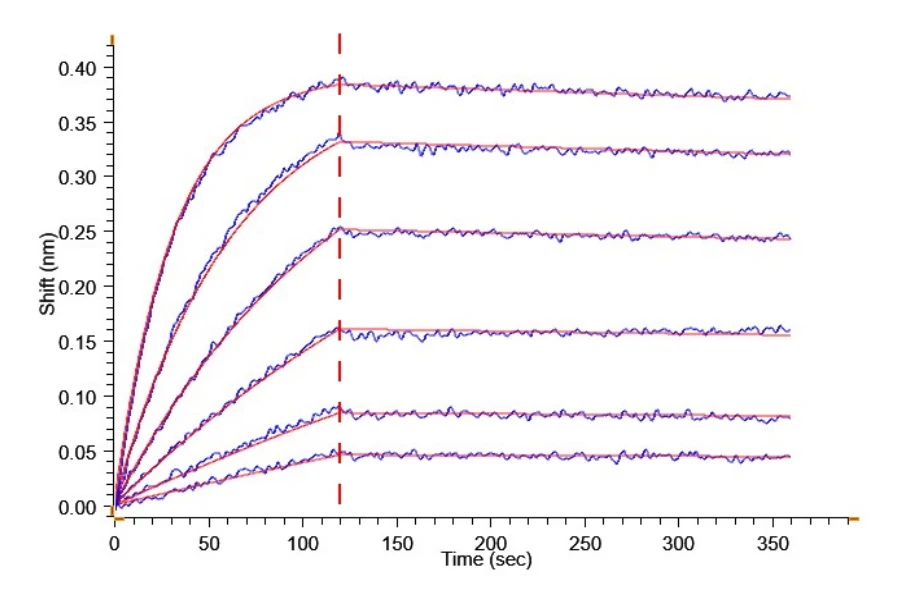 CD217-MF001 BLI result
