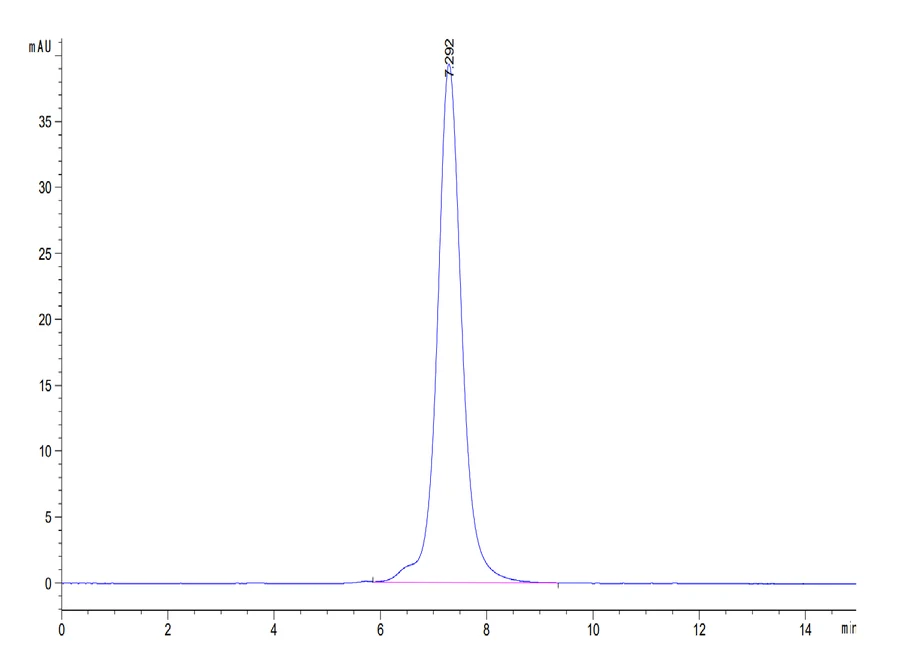 CD217-MF001 SEC-HPLC result