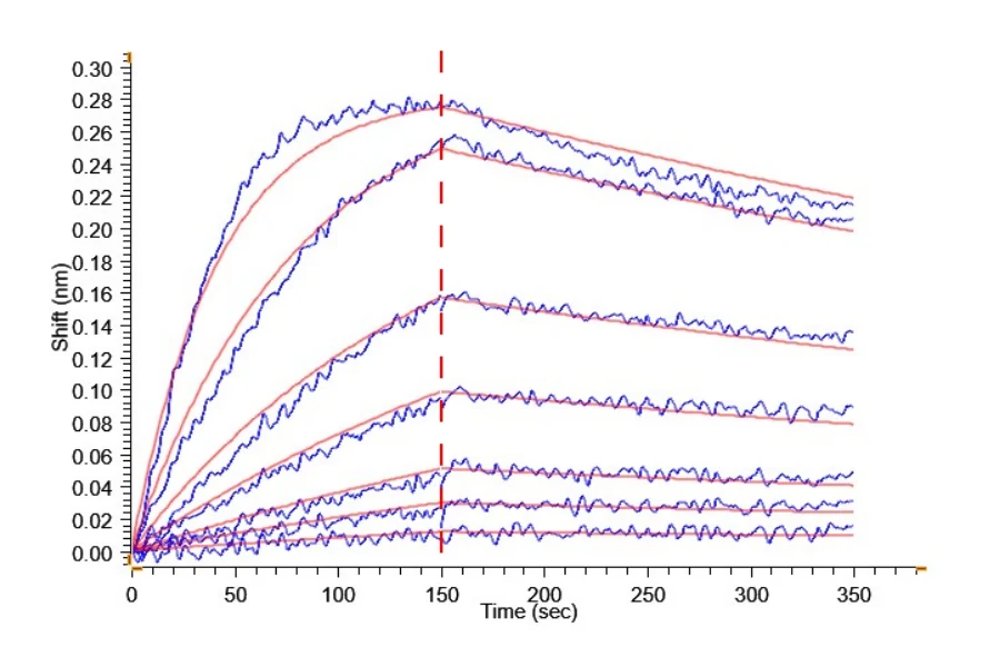 CD218A-CF001 BLI result