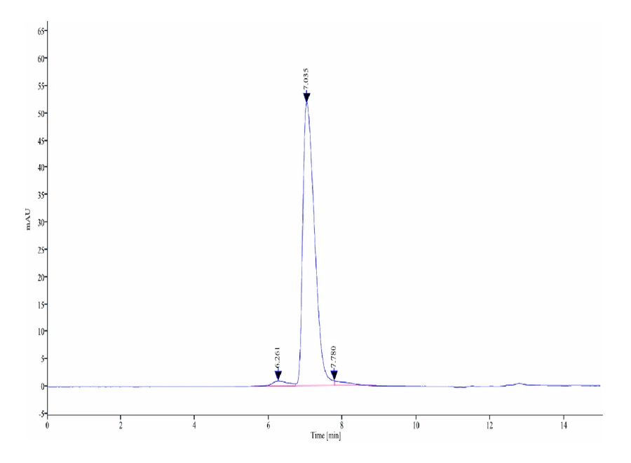 CD22-HB001 SEC-HPLC result