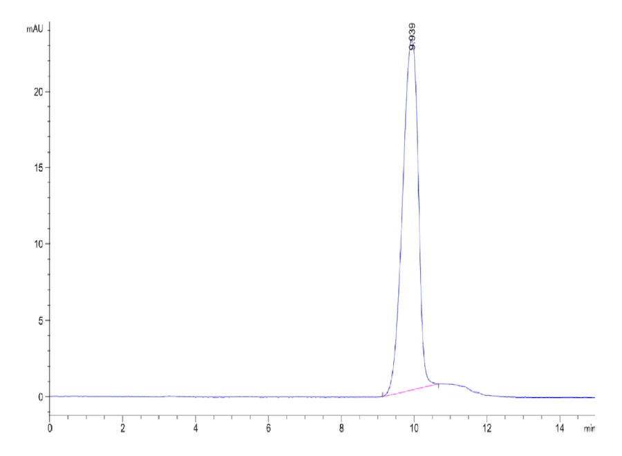 CD24-HB001 SEC-HPLC result