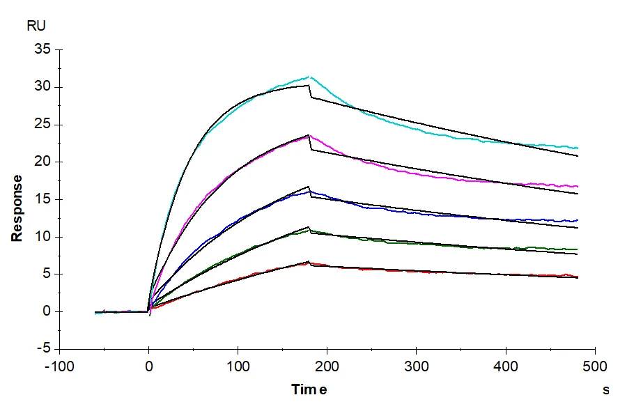 CD257-HF001 SPR result