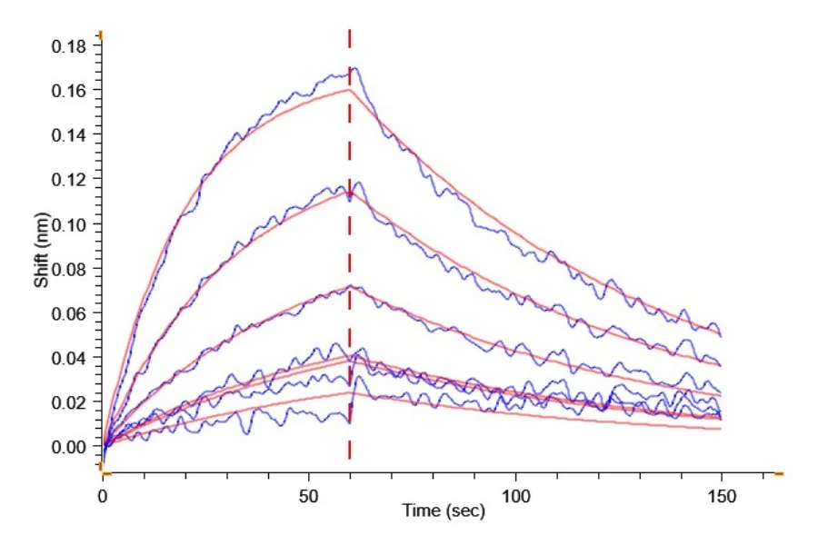 CD257-HF002 BLI-2 result